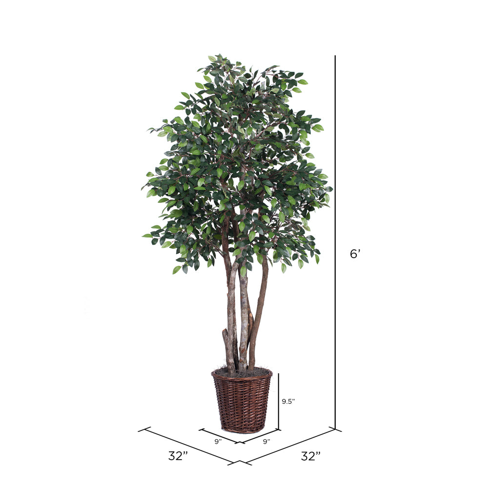 Vickerman 6' Artificial Mini Ficus Executive Rattan Basket - Cheap-Us