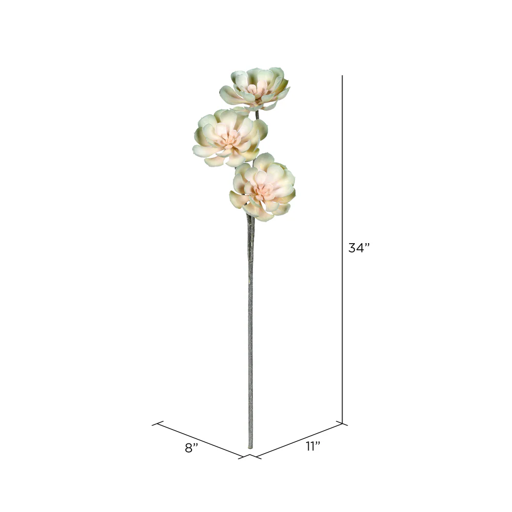 Vickerman 34