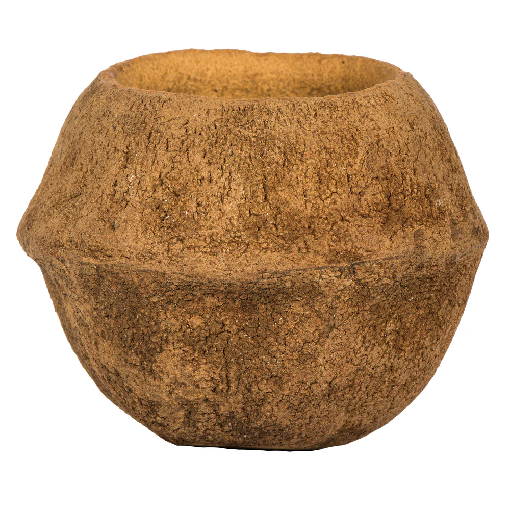 Vickerman SAPA POD MEDIUM NATURAL (CP-__) Dried - Cheap-Us