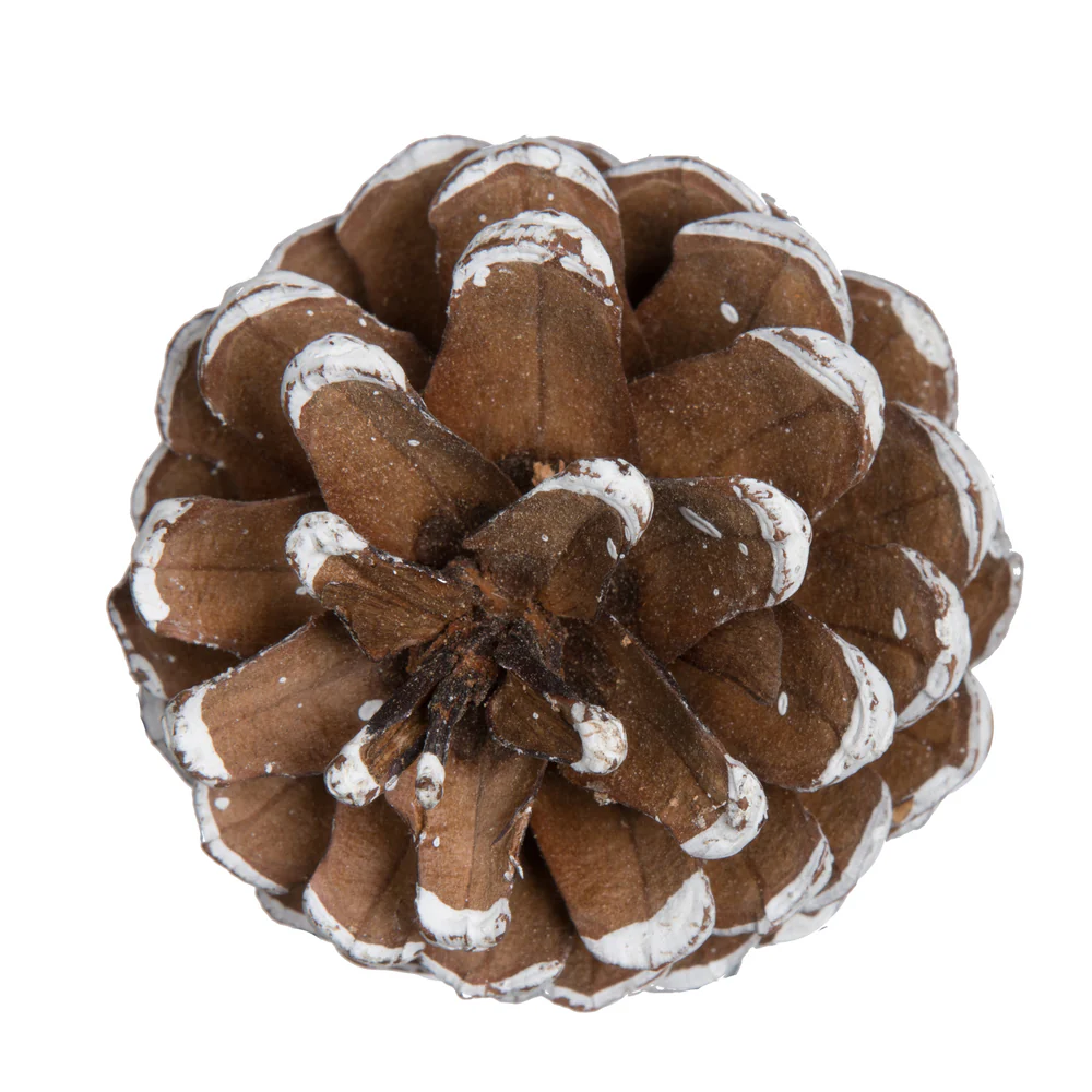 Vickerman Natural Botanicals 20