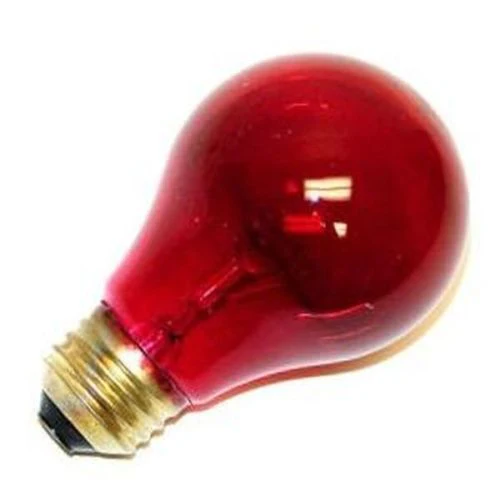GE Incandescent Light Bulb - Cheap-Us