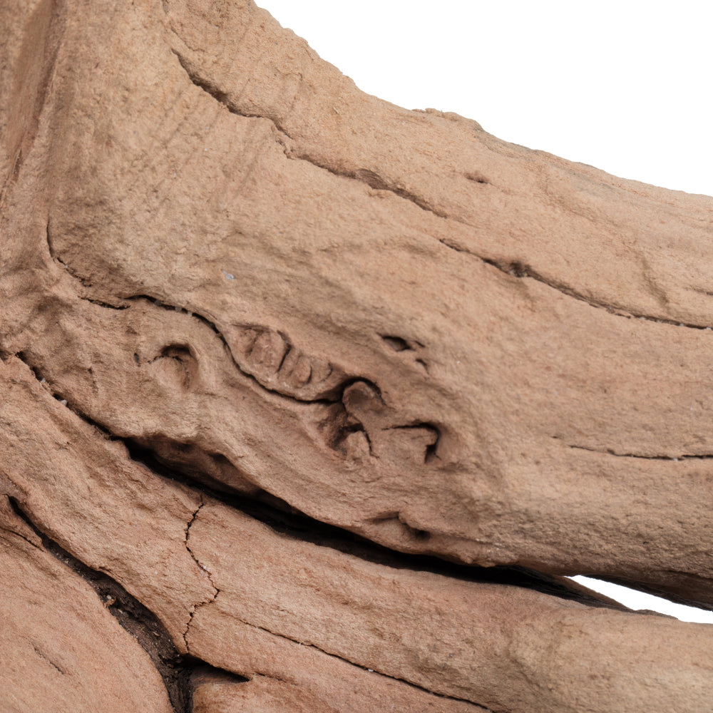 Vickerman Ghostwood Manzanita Sand Blasted 18