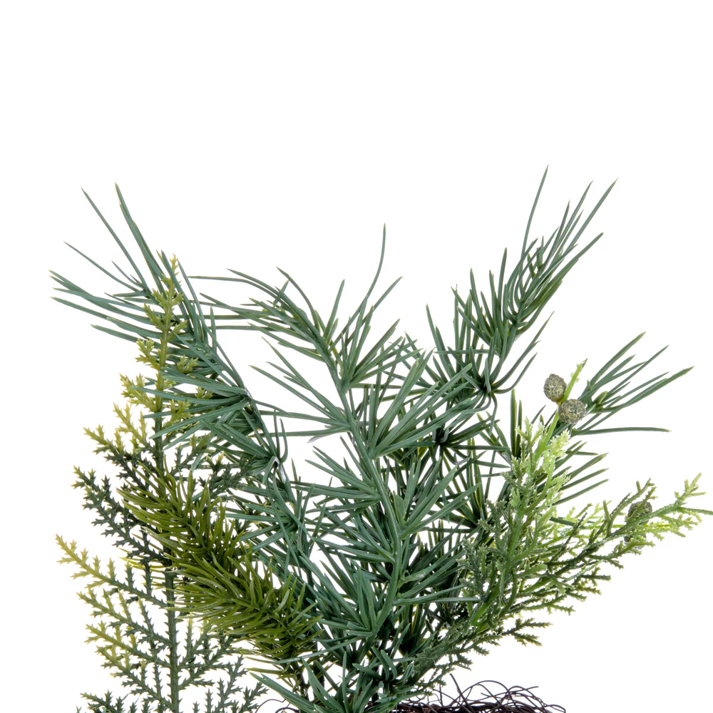 Vickerman 24