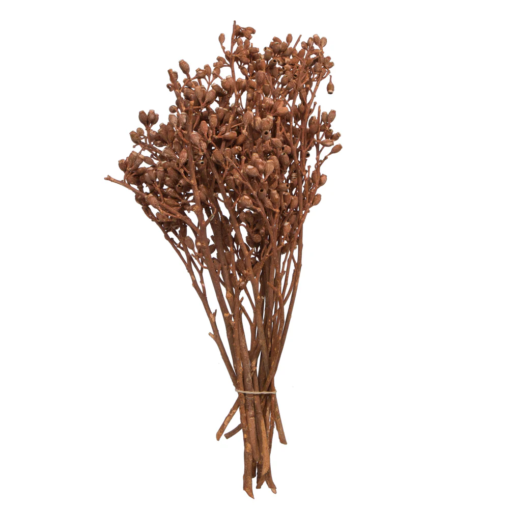 Vickerman Natural Botanicals 12