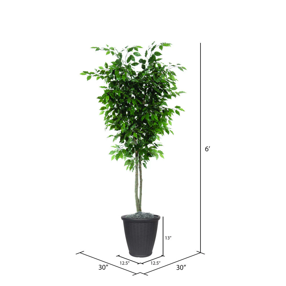 Vickerman 6' Artificial Ficus Deluxe Tree Gray Round Plastic Container. - Cheap-Us