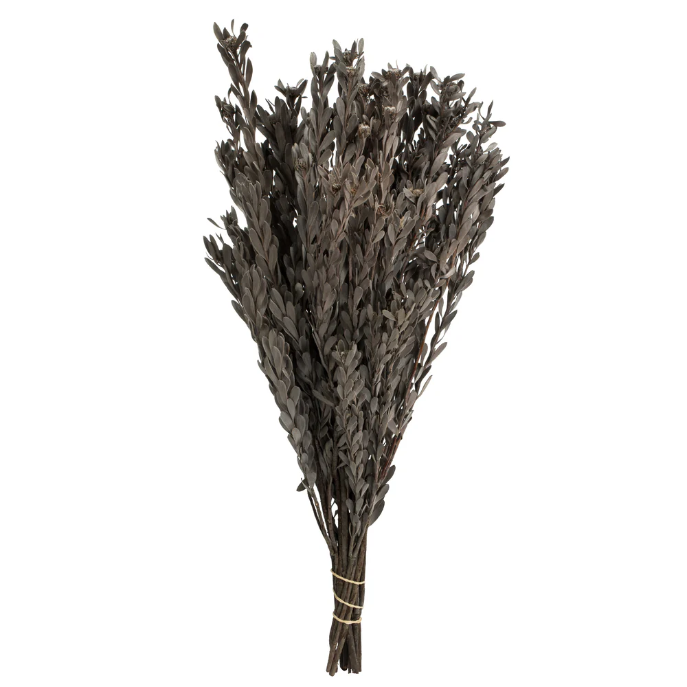 Vickerman 18-20
