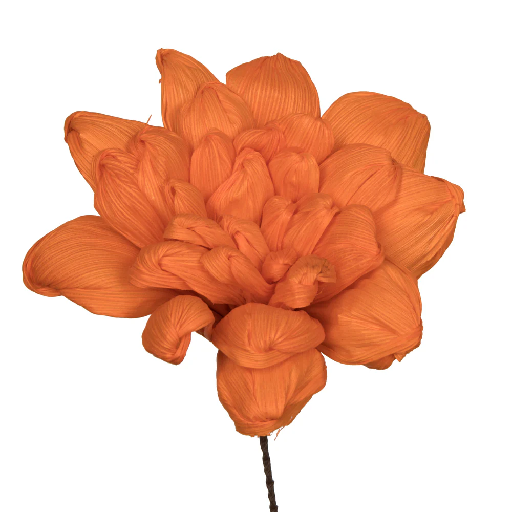 Vickerman Natural Botanicals 6