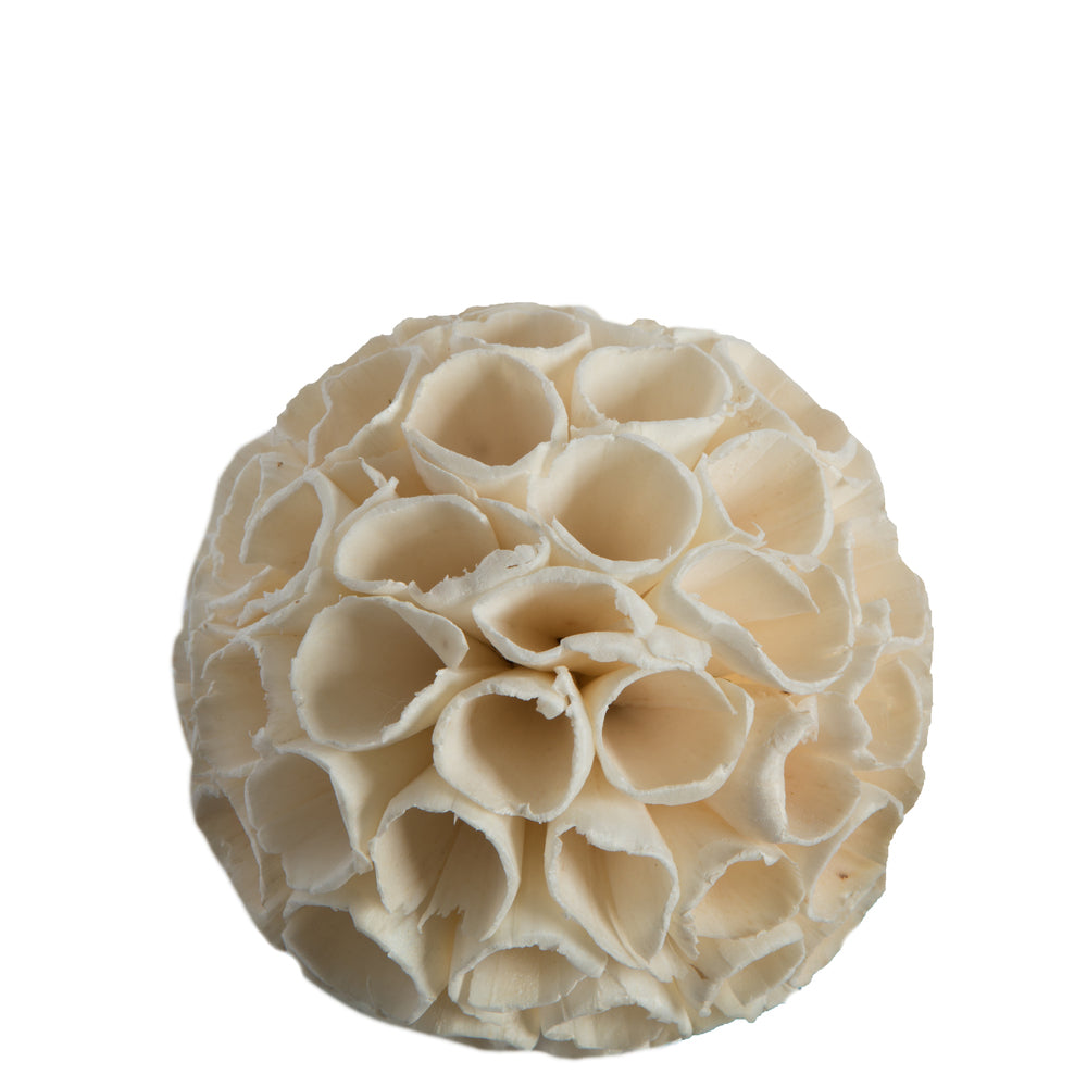 Vickerman Natural Botanicals 4