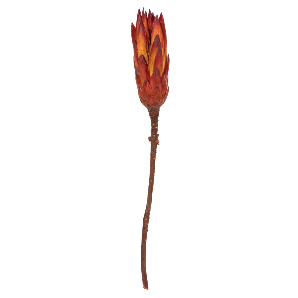 Vickerman 8-12