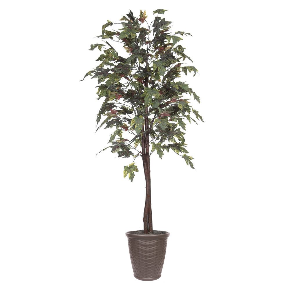 Vickerman 6' Artificial Frosted Maple Tree Brown Round Plastic Container. - Cheap-Us