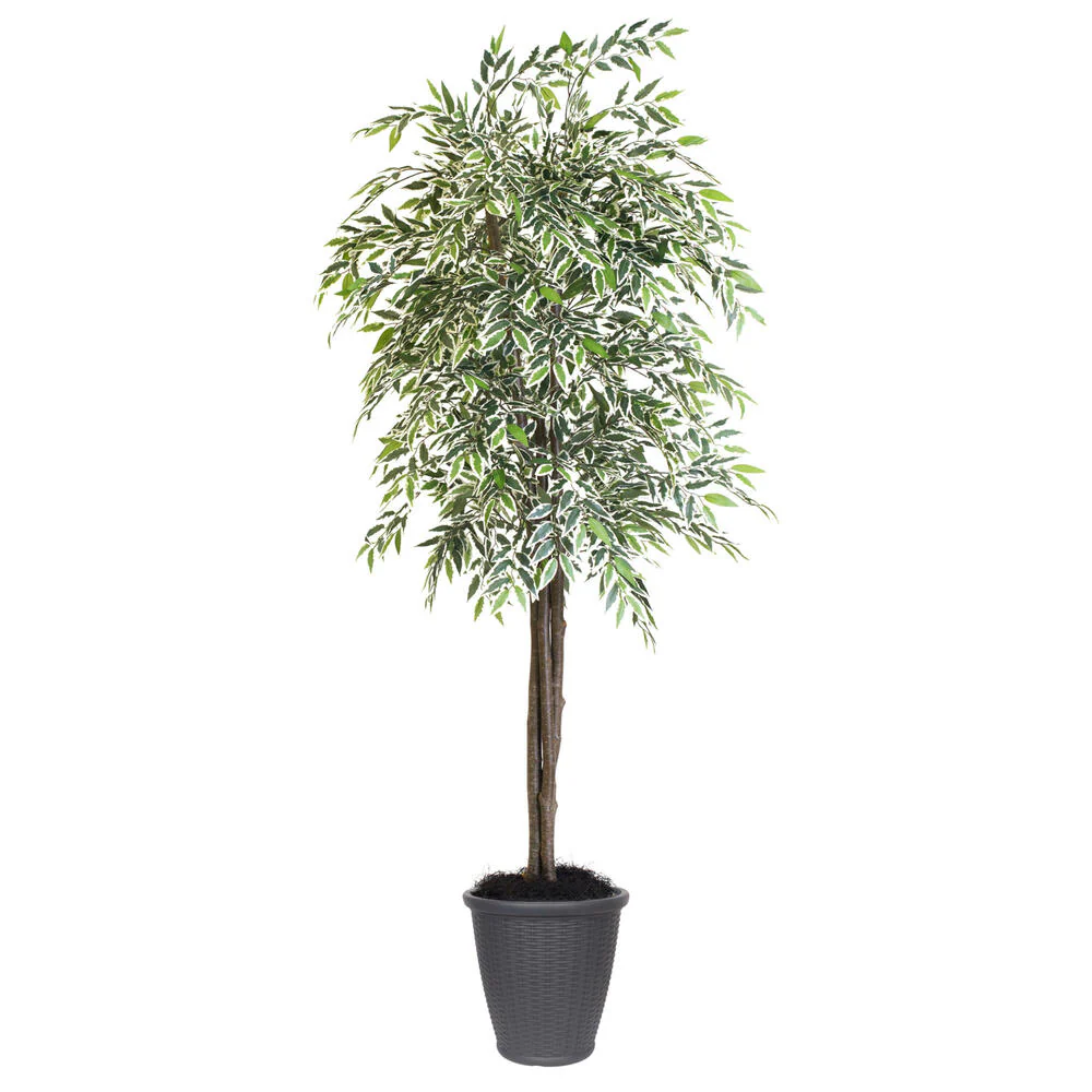 Vickerman 6' Artificial Varigated Smilax Deluxe Tree Gray Round Plastic Container. - Cheap-Us