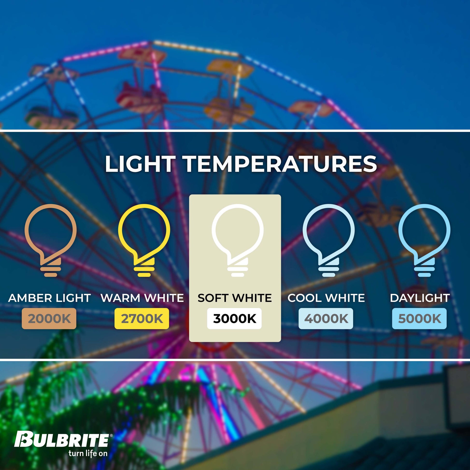 Bulbrite Pack of (6) 7 Watt Dimmable PAR20 Wet Rated Flood LED Light Bulbs with Medium (E26) Base Base, 3000K Soft White Light, 500 Lumens - Cheap-Us