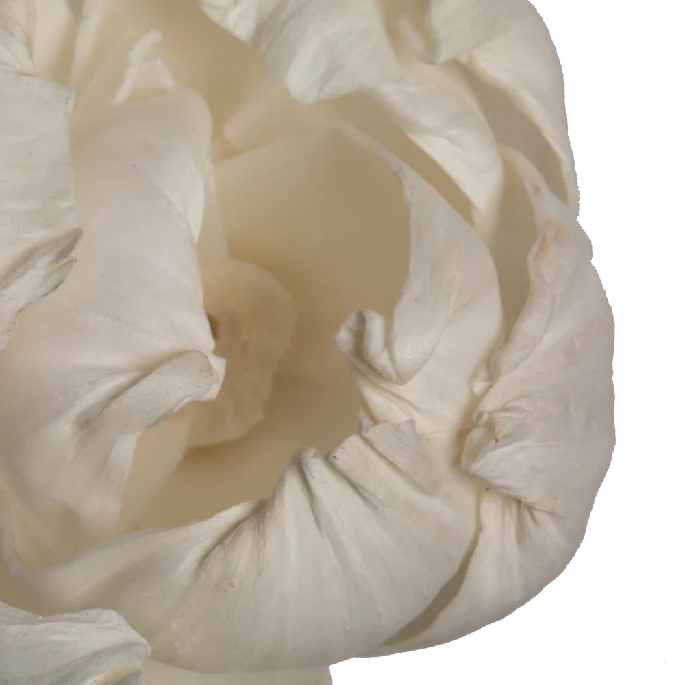 Vickerman Natural Botanicals 1.6