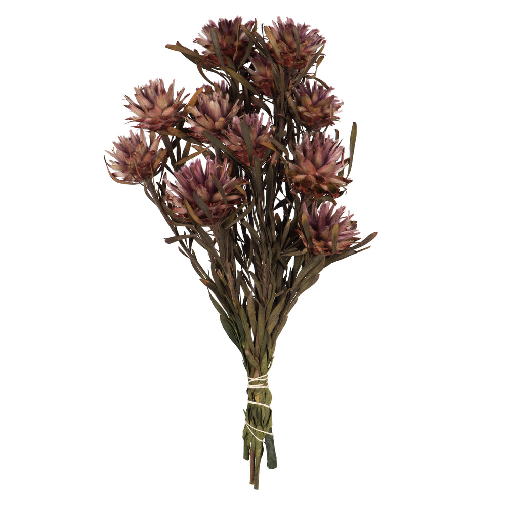 Vickerman 8-20