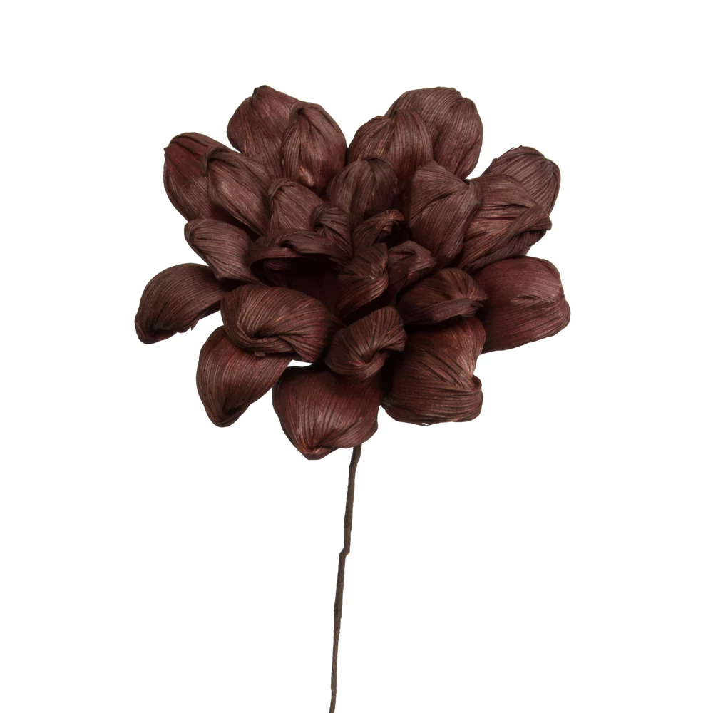 Vickerman Natural Botanicals 6