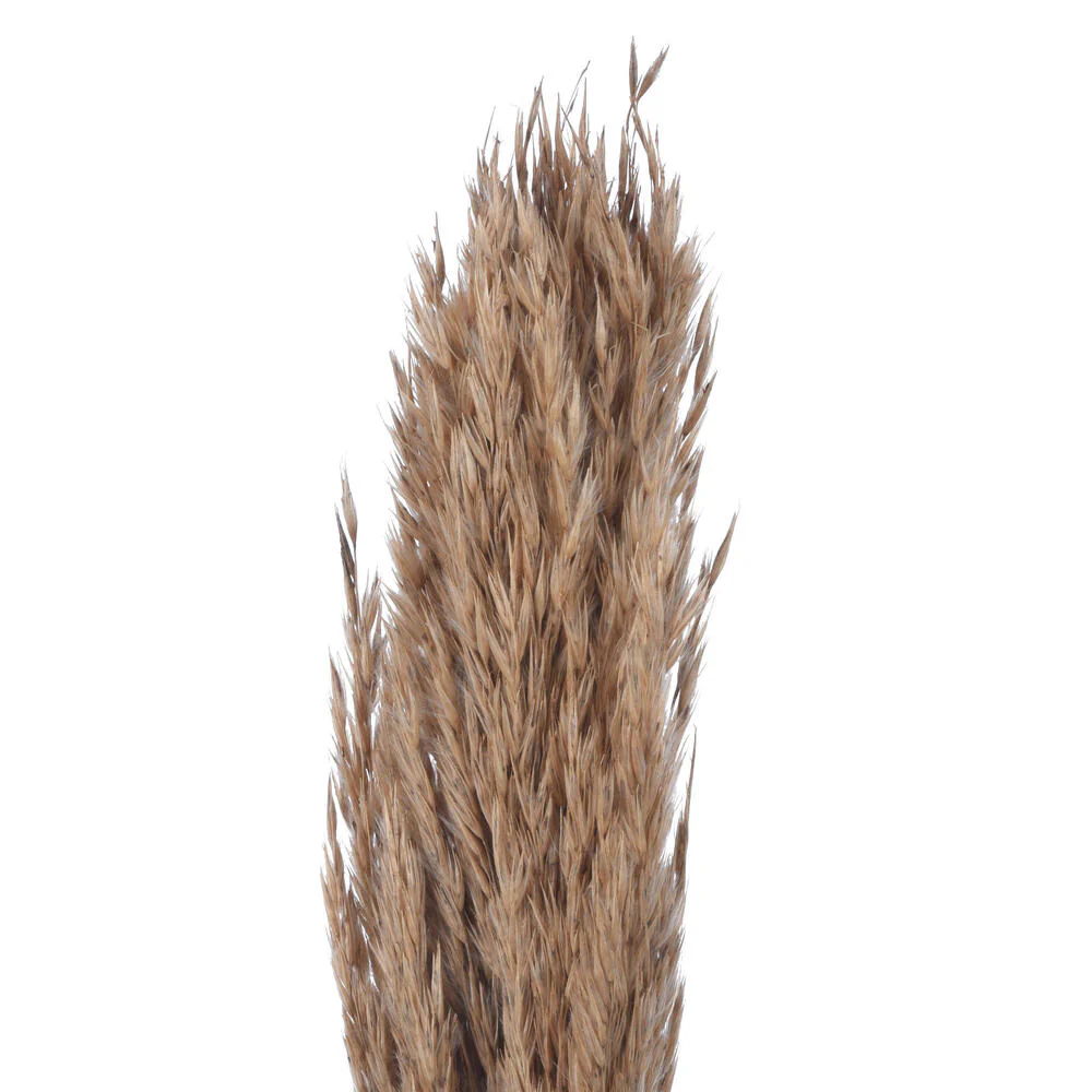 Vickerman Natural Botanicals 39 - 47