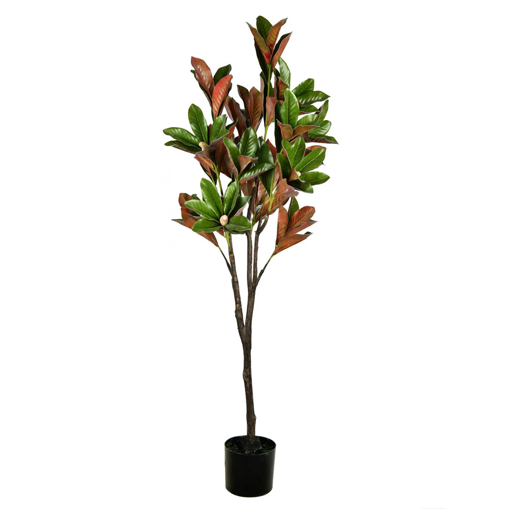 Vickerman 6' Artificial Green Magnolia Tree in Black Planters Pot. - Cheap-Us
