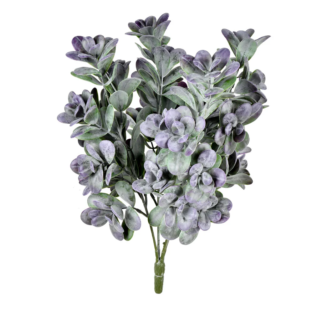 Vickerman 17