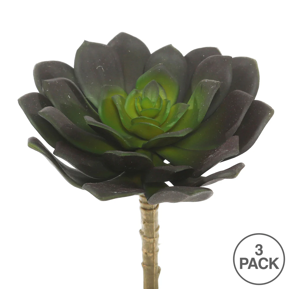 Vickerman 5.75