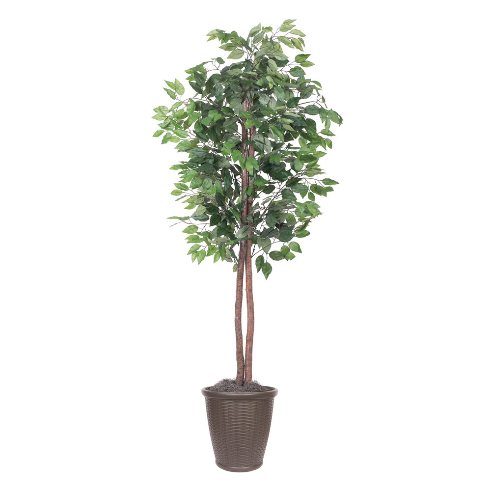 Vickerman 6' Artificial Ficus Tree Brown Round Plastic Container. - Cheap-Us