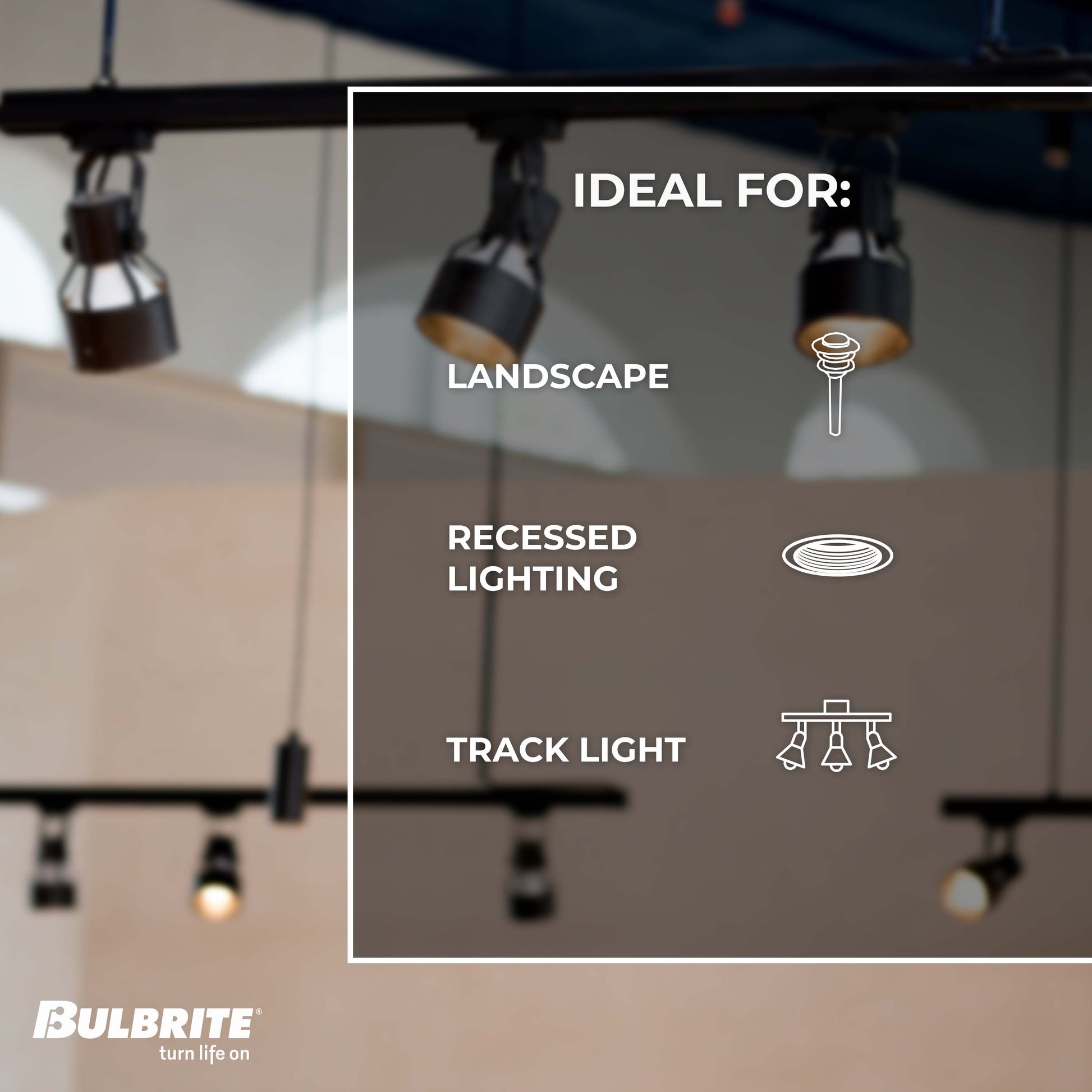 Bulbrite Pack of (6) 10 Watt Dimmable Flood PAR30SN Medium (E26) LED Bulb - 800 Lumens, 2700K, and 80 CRI - Cheap-Us