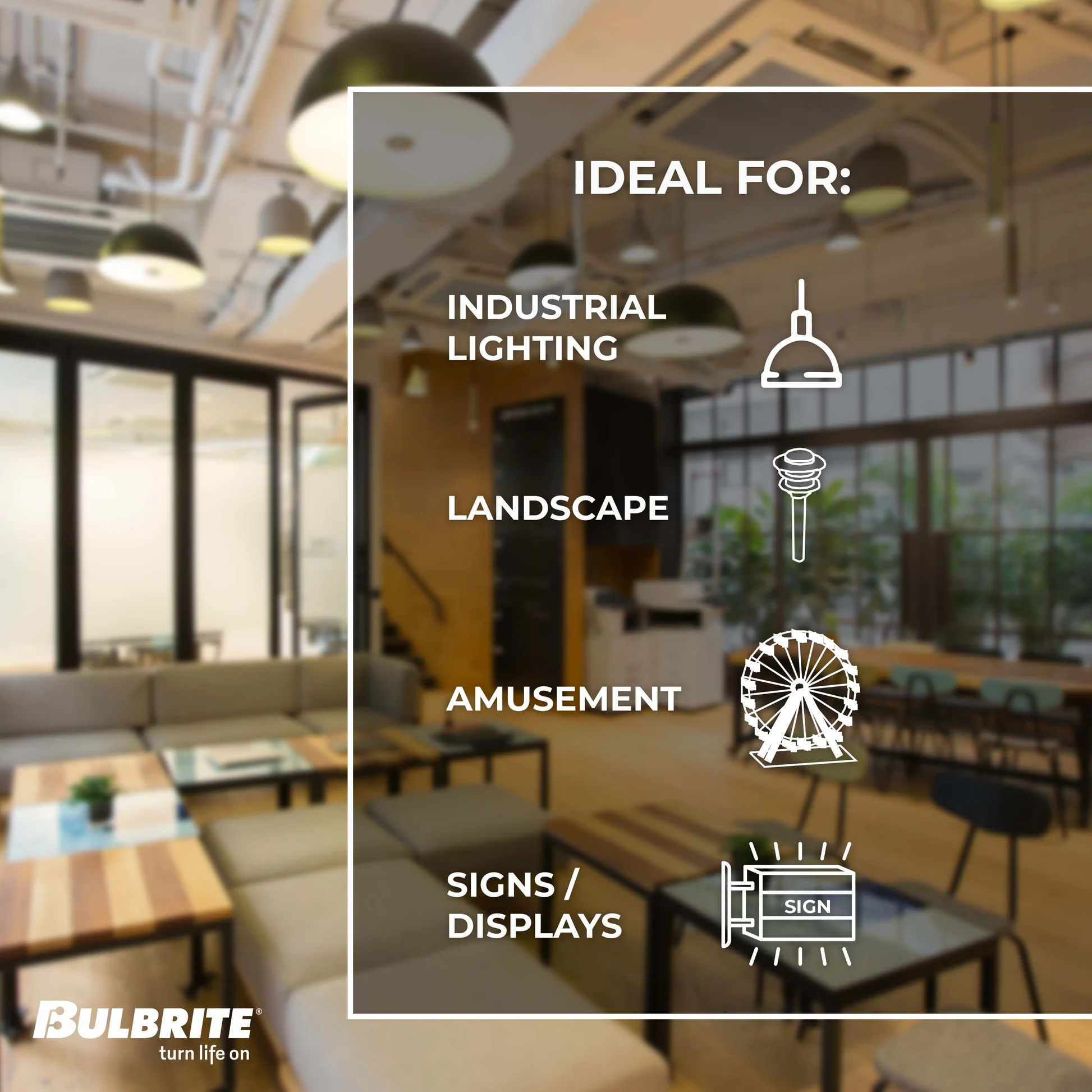 Bulbrite Pack of (8) 7 Watt Dimmable CLEAR Filament ST18 Medium (E26) LED Bulb - 800 Lumens, 4000K, and 80 CRI - Cheap-Us