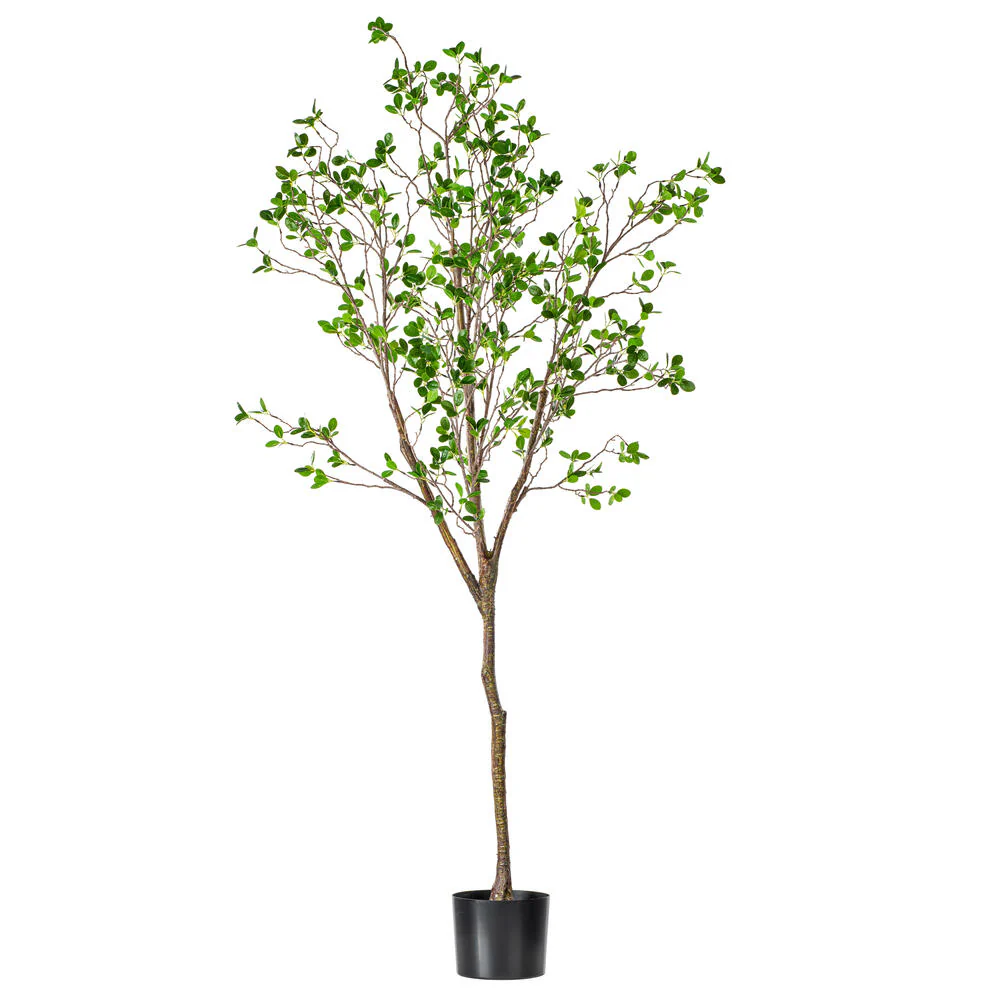 Vickerman 72