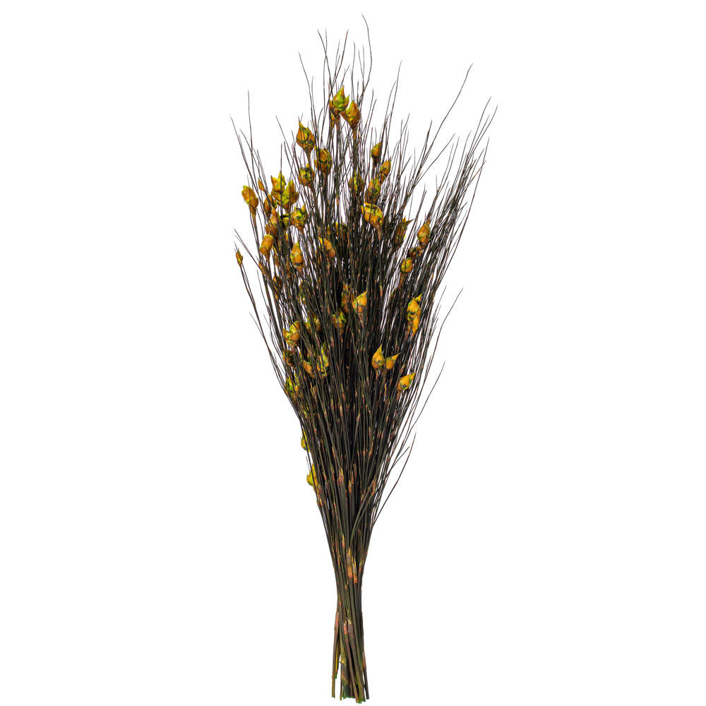 Vickerman 15-20