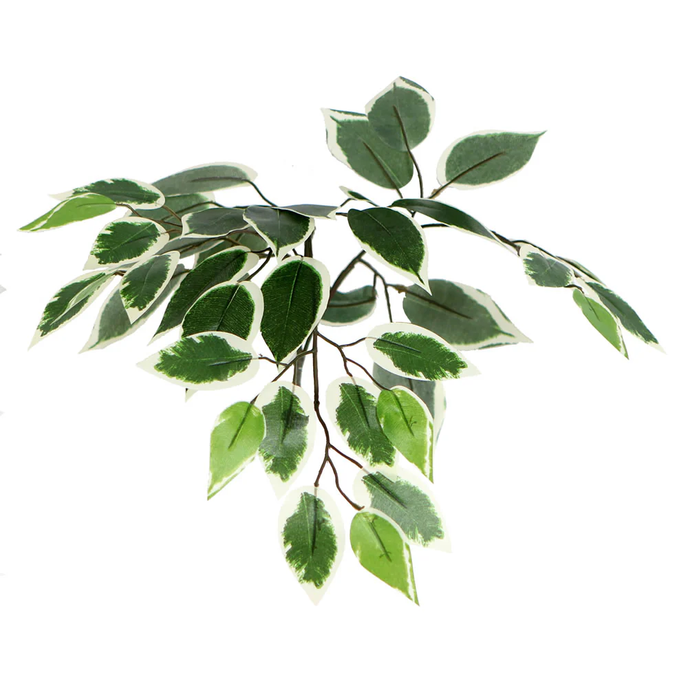 Vickerman 6' Artificial Variegated Ficus Tree Gray Round Plastic Container. - Cheap-Us