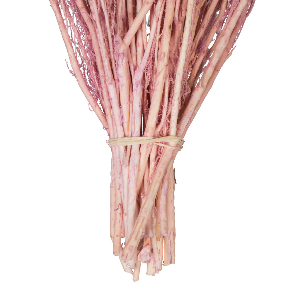 Vickerman 14-18