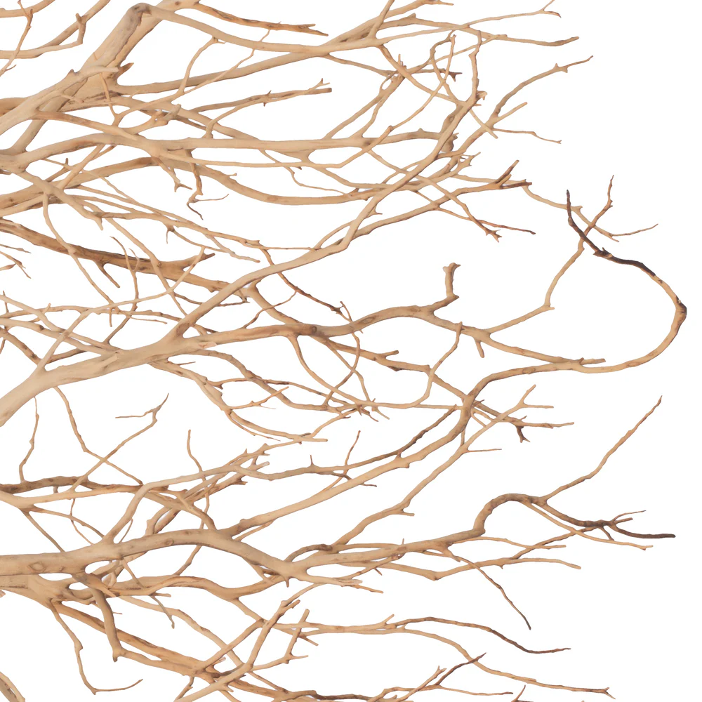 Vickerman Manzanita Tree Sand Blasted 36