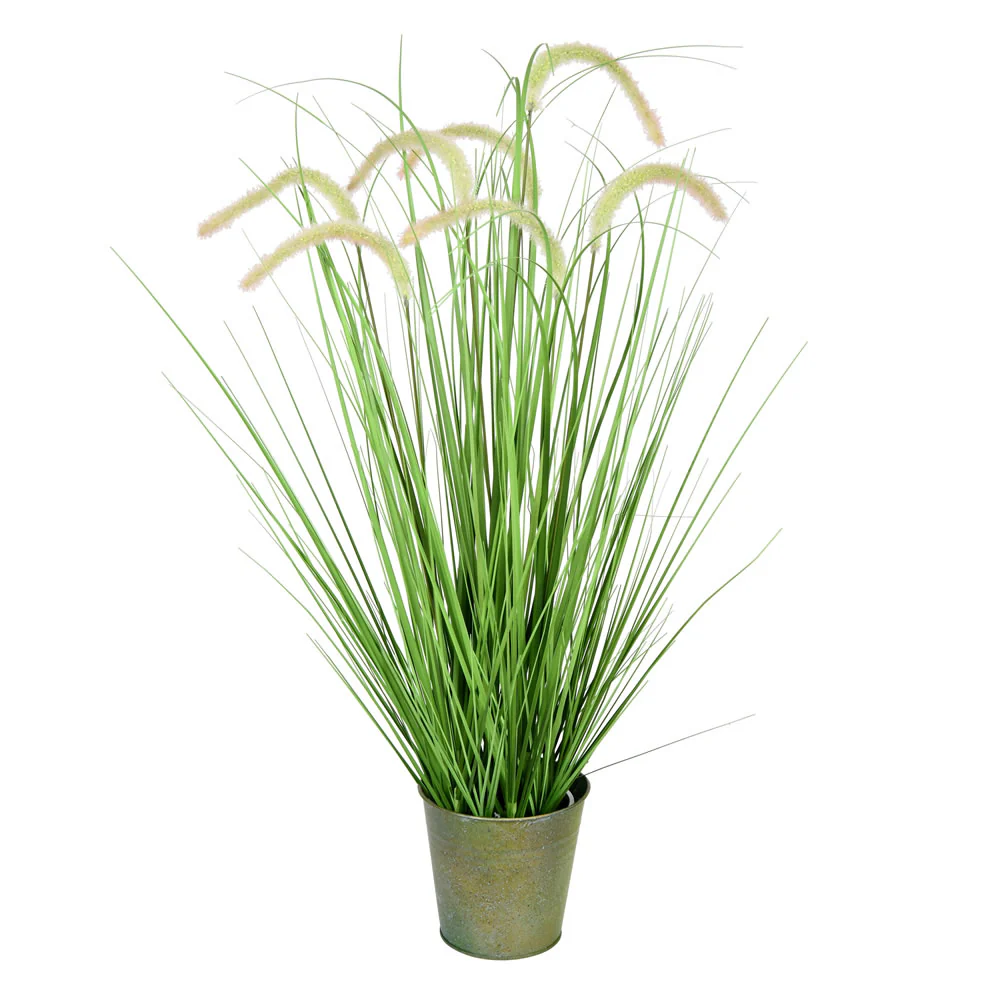 Vickerman 36