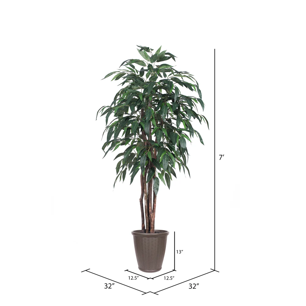 Vickerman 6' Artificial Mango Executive Tree Brown Round Plastic Container. - Cheap-Us