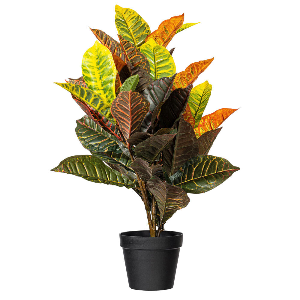 Vickerman 30