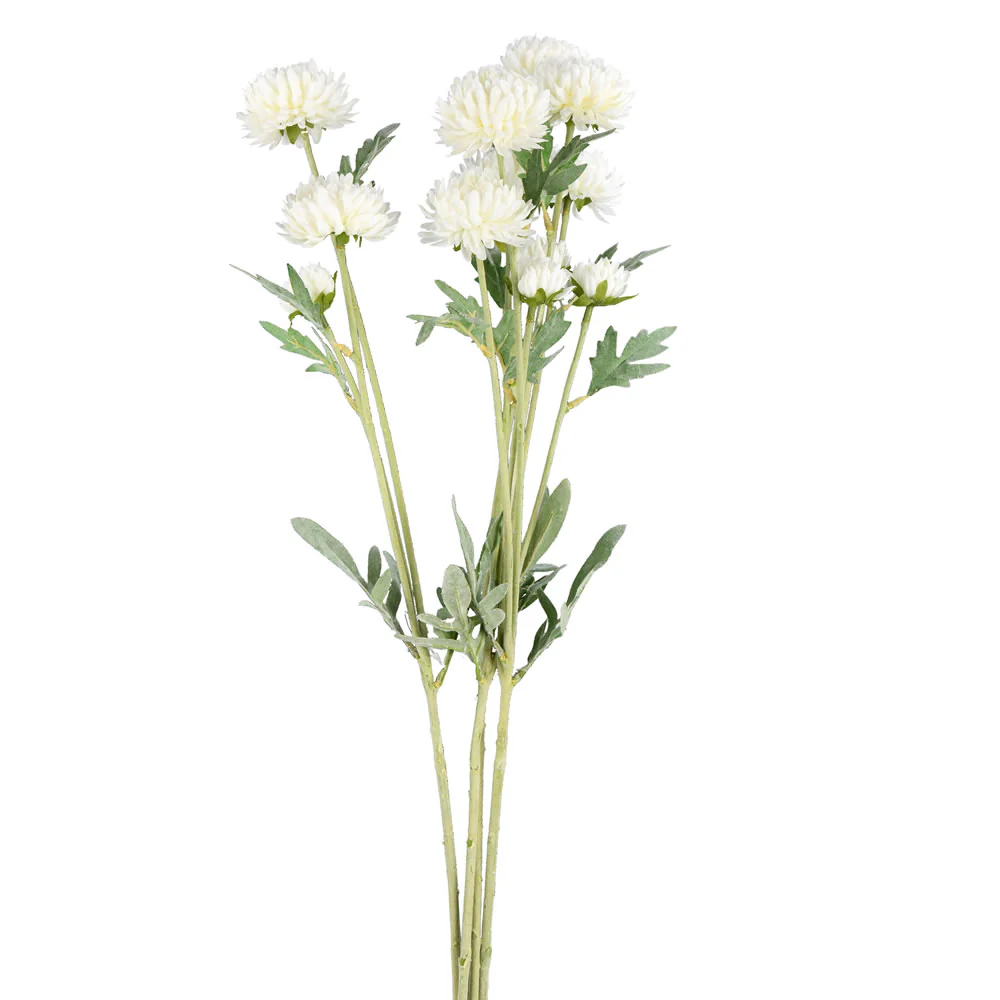 Vickerman 27