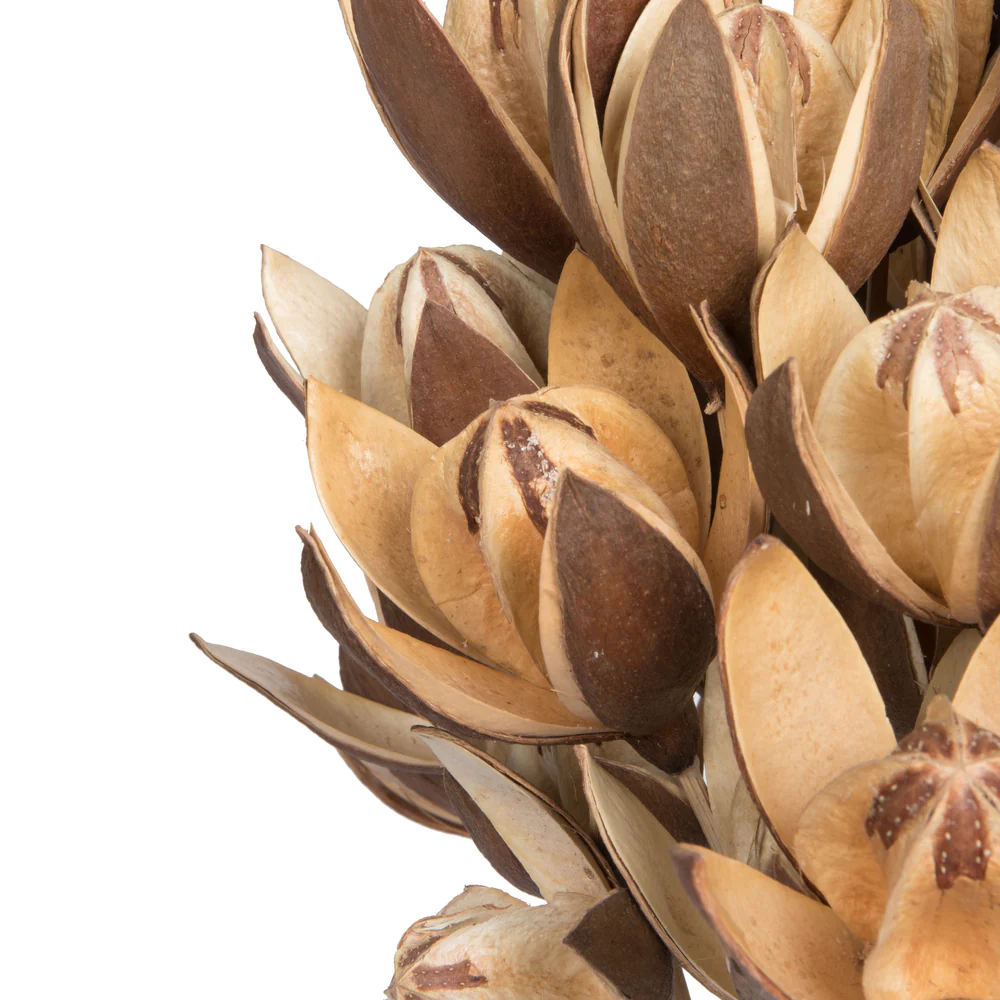 Vickerman Natural Botanicals 20
