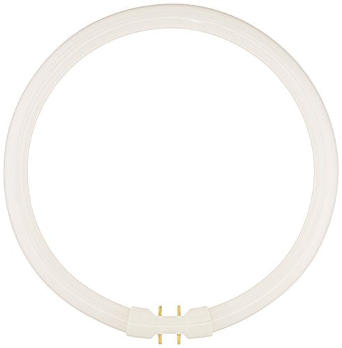 Bulbrite FC9T5/841 9 Watt Fluorescent Circline T5 Bulb, 800 Series, 2GX13 Base, Cool White - Cheap-Us