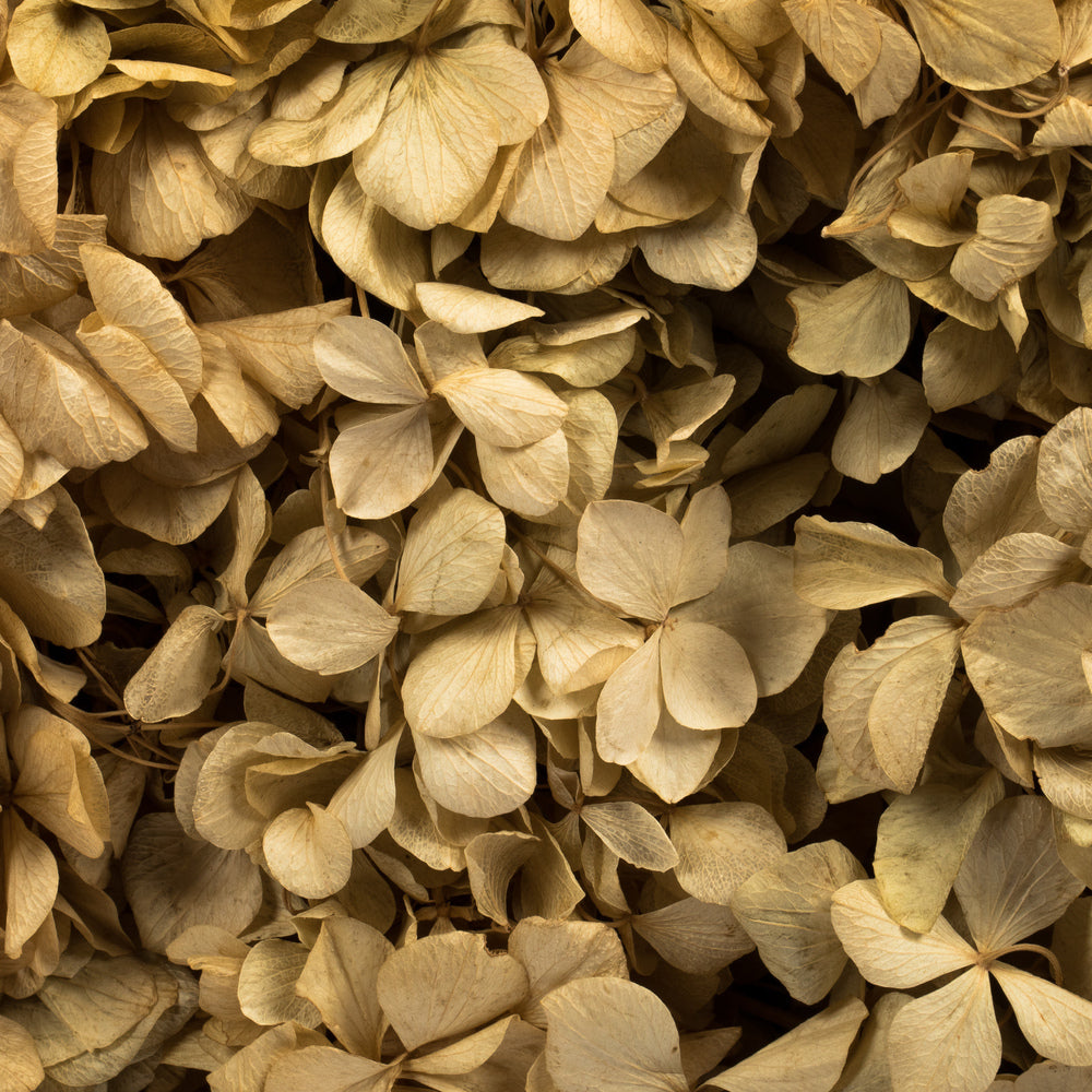 Vickerman 10 x 3 x 21