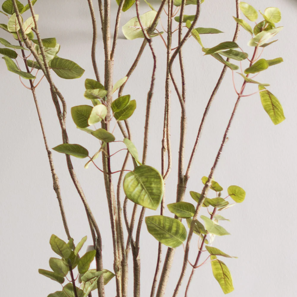 Vickerman 4' Artificial Green Potted Cotinus Coggygria Tree. - Cheap-Us