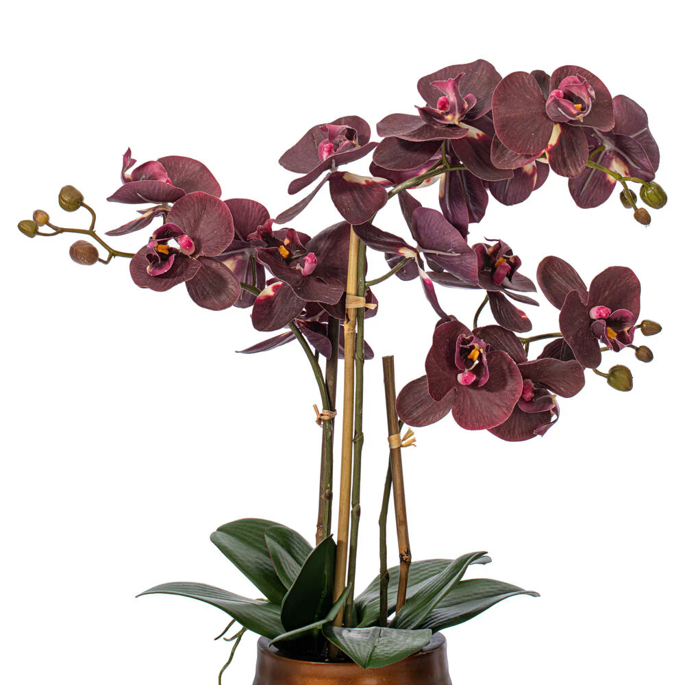 Vickerman 22