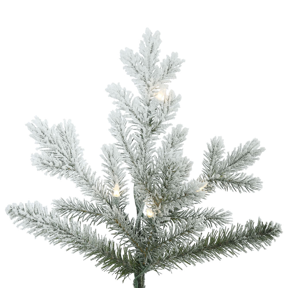 Vickerman 10' Frosted Eastern Fraser Fir Artificial Christmas Tree Clear Dura-lit Lights - Cheap-Us