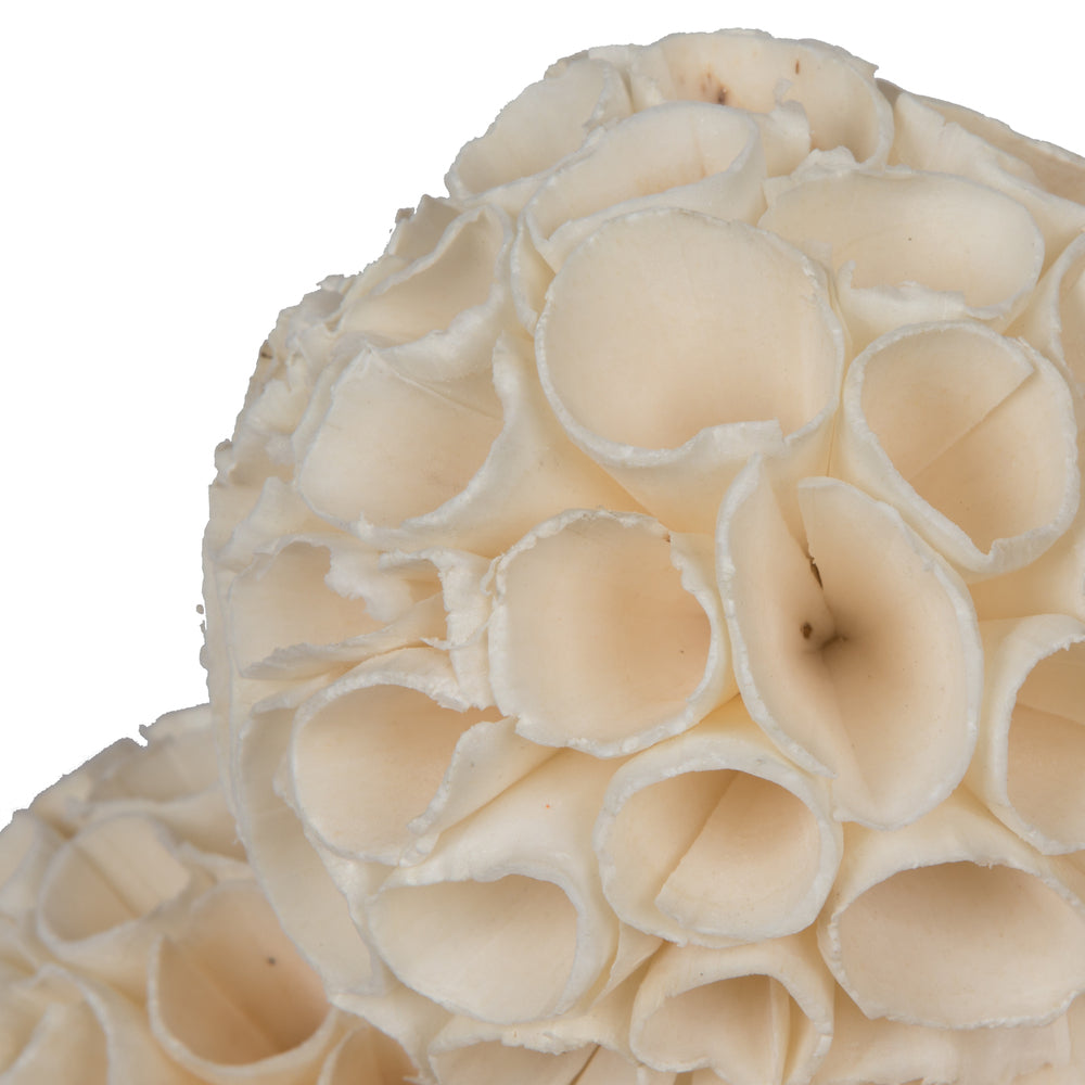 Vickerman Natural Botanicals 3.2