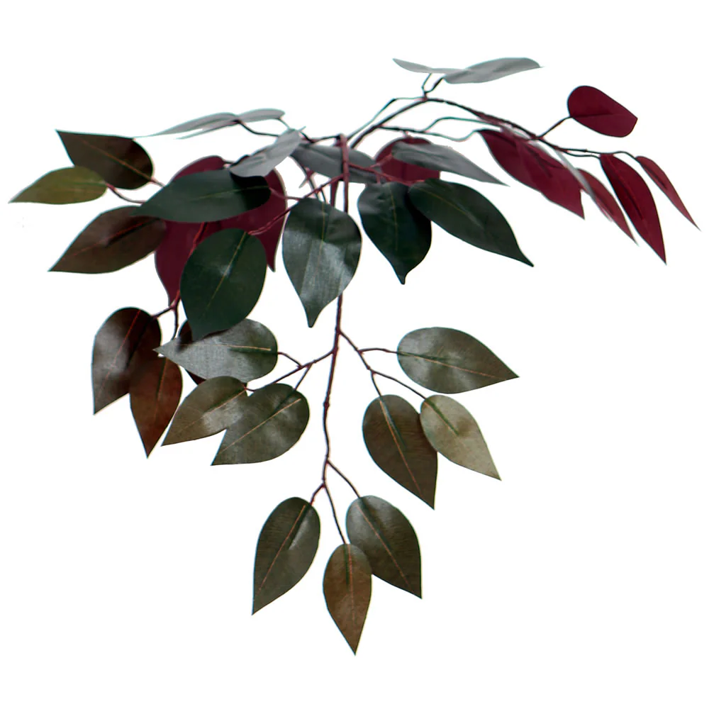 Vickerman 6' Artificial Capensia Deluxe Tree Gray Round Plastic Container. - Cheap-Us