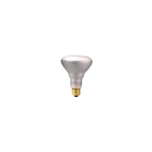 Bulbrite 65BR30FL2 65 Watt Incandescent BR30 Reflector, Flood, Medium Base, Clear - Cheap-Us