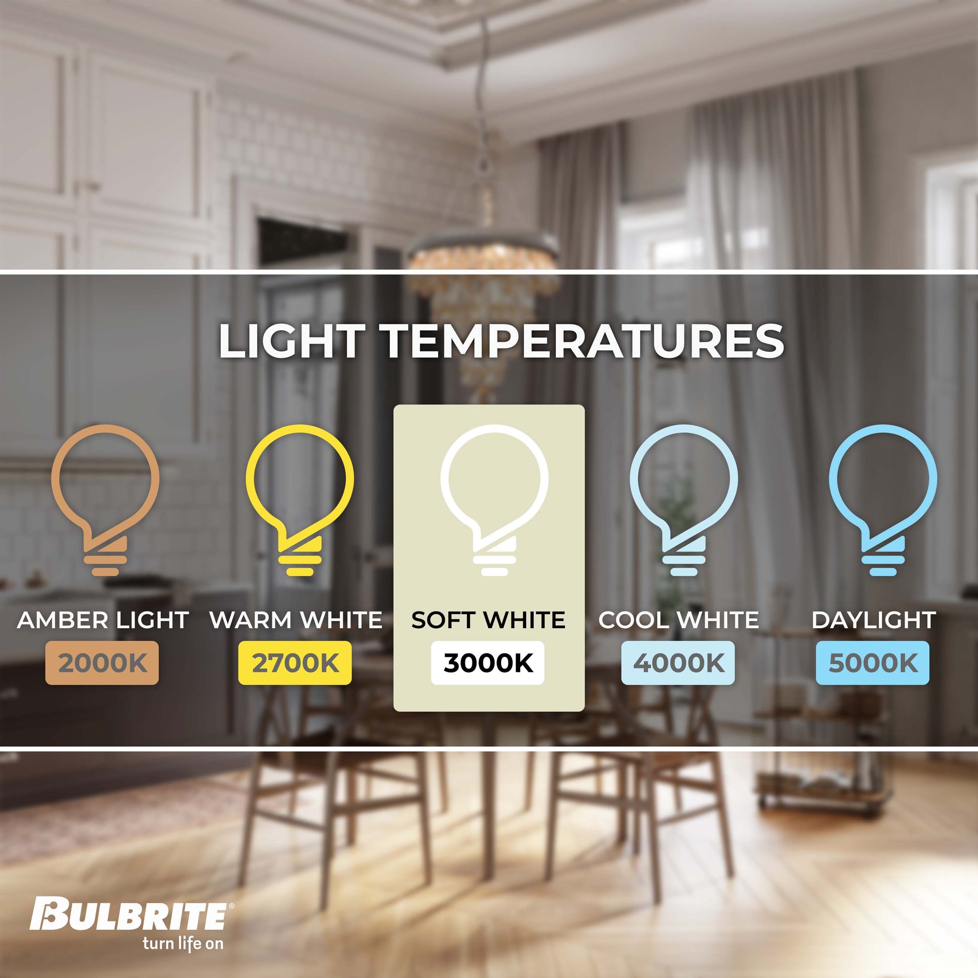 Bulbrite LED Filament Pack of (4) 5 Watt Dimmable 11 Inch T9 Light Bulb with Clear Glass Finish and Medium (E26) Base - 3000K (Soft White Light), 350 Lumens - Cheap-Us