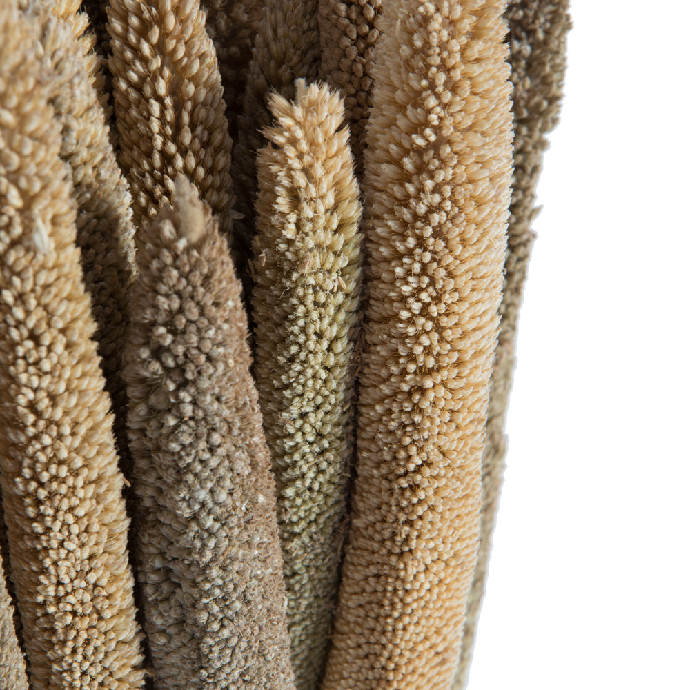 Vickerman Natural Botanicals 24