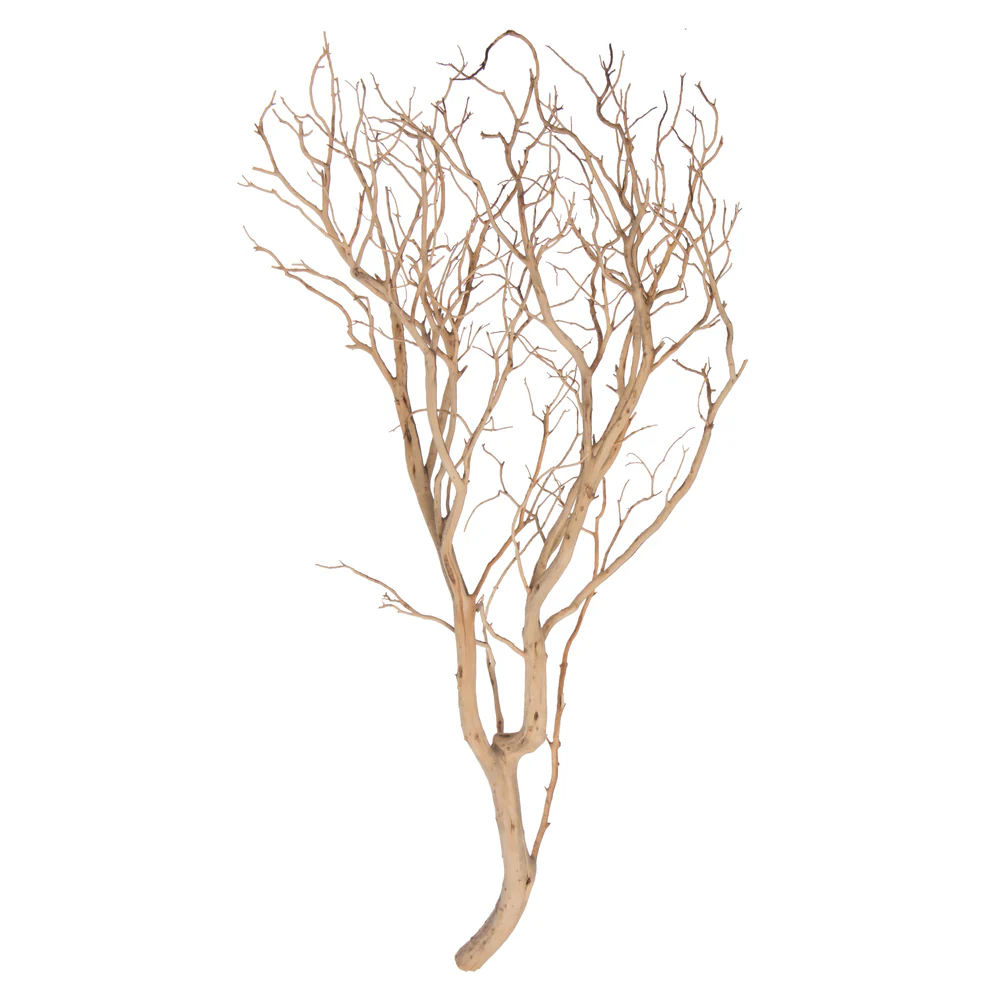 Vickerman Manzanita Tree Sand Blasted 36