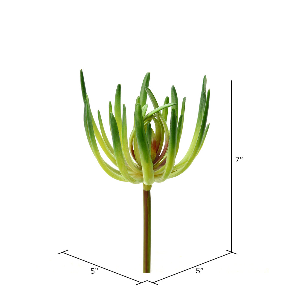 Vickerman 6.75