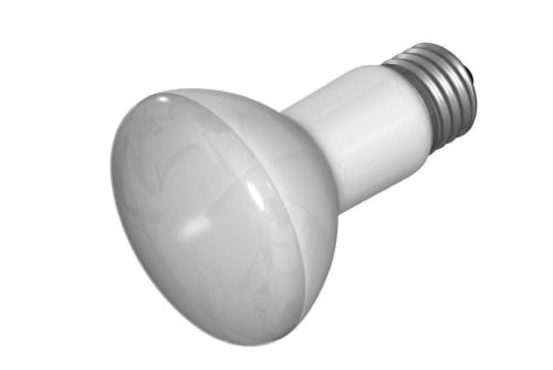 GE Lighting 14878 45-Watt Indoor Miser Indoor Floodlight, 310 Lumens, R20, 2-1/2-Inch diameter - Cheap-Us