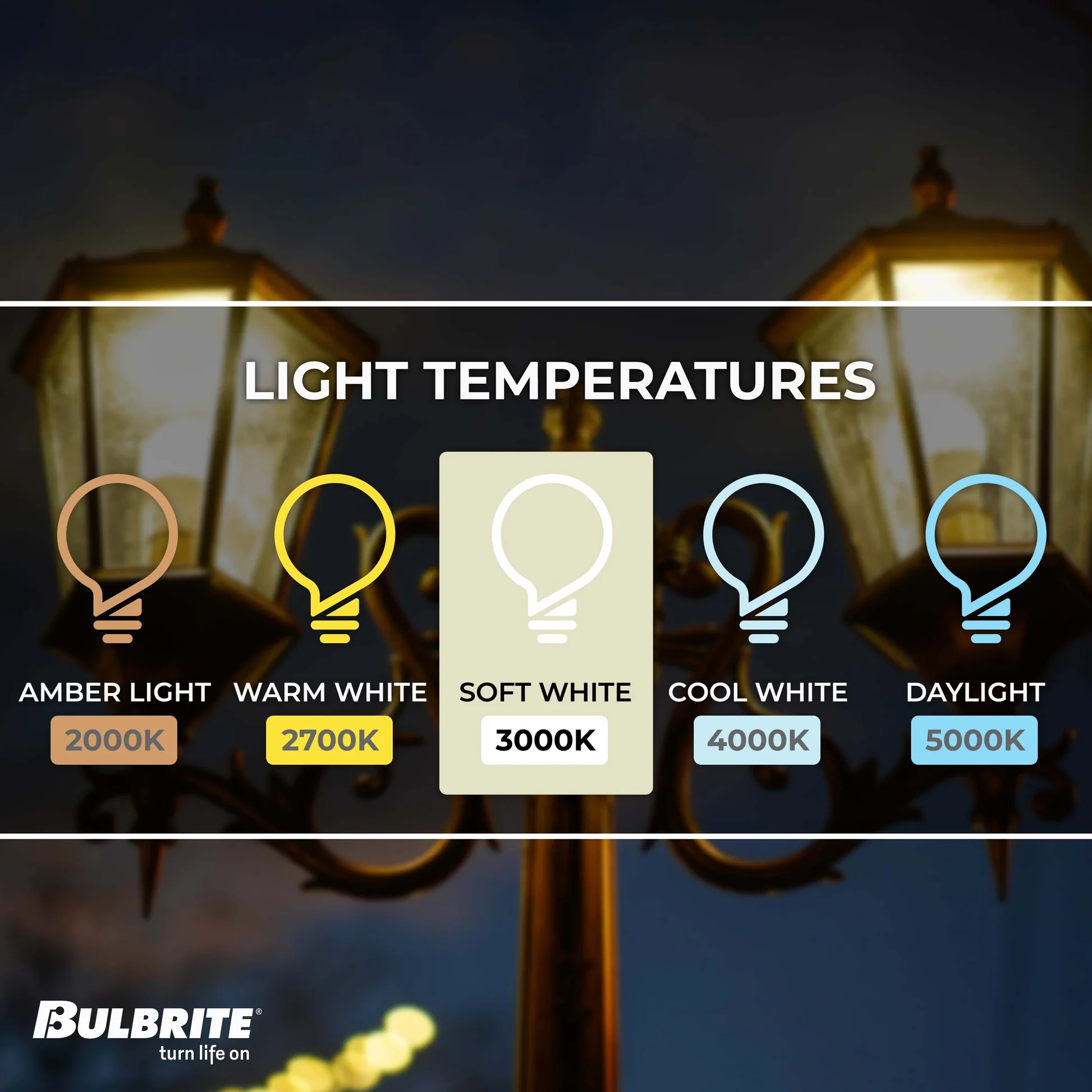 Bulbrite Dusk to Dawn Pack of (4) 9 Watt A19 LED Light Bulb with Frosted Glass Finish and Medium (E26) Base - 3000K (Soft White Light), 800 Lumens - Cheap-Us